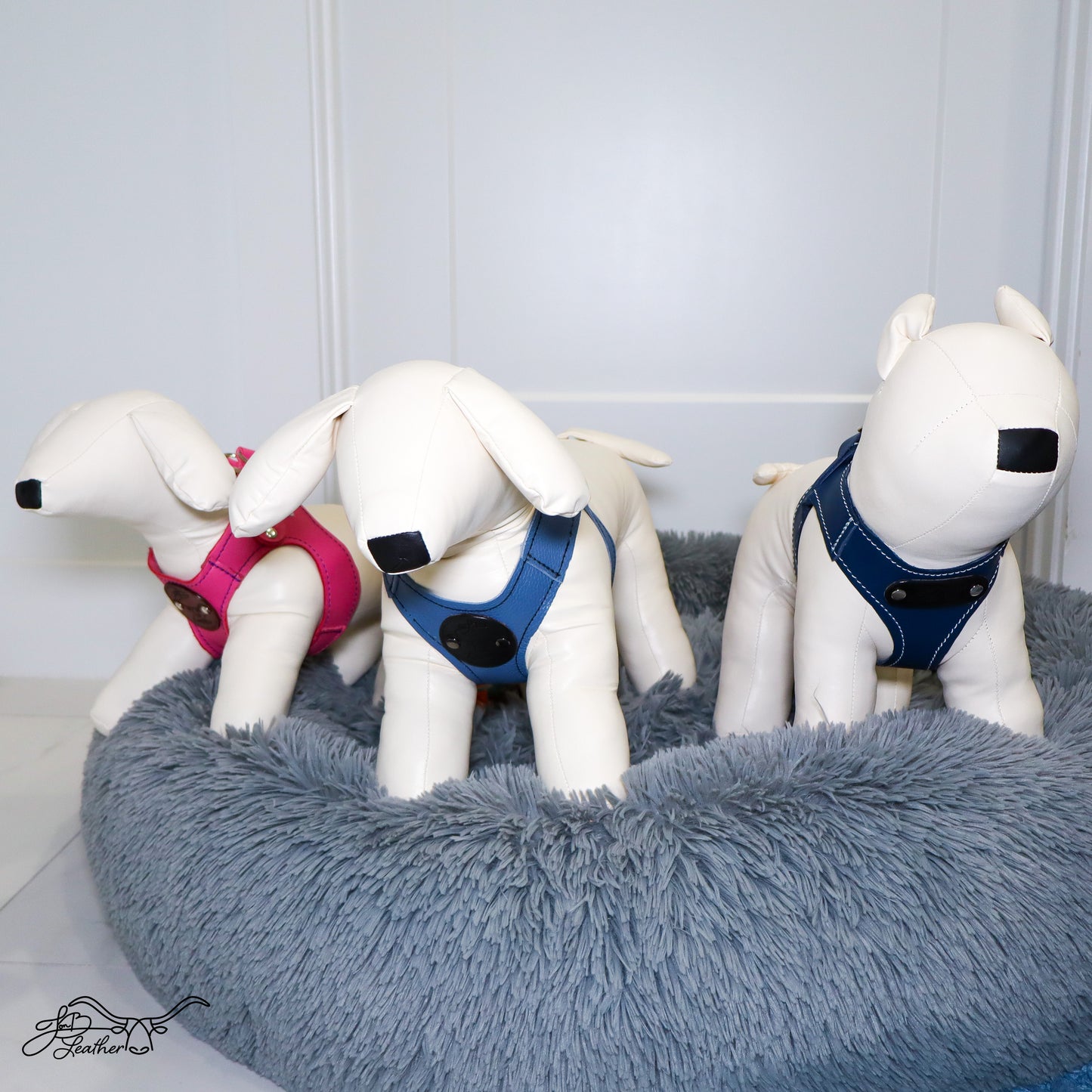 Sport Pet Harness - Best for Smaller Dogs