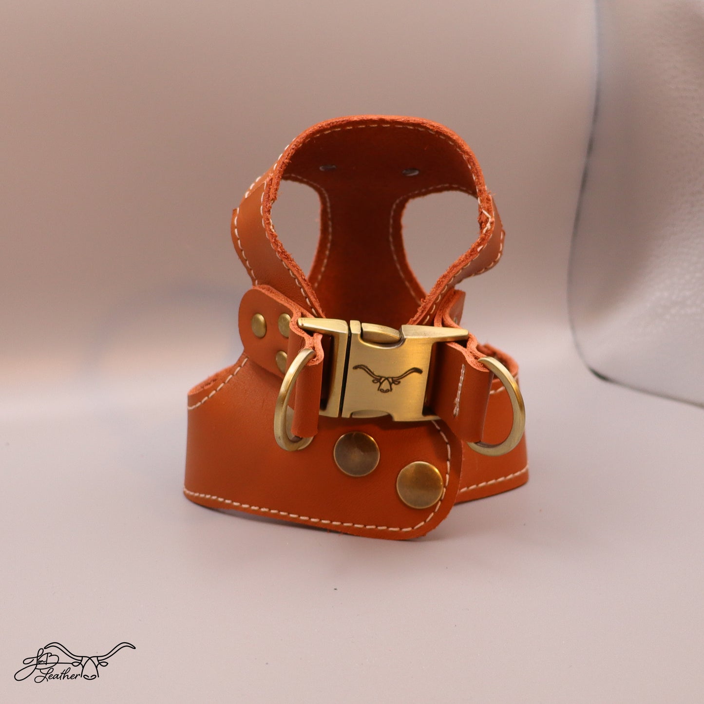 Sport Pet / Dog Harness - Jon B Leather