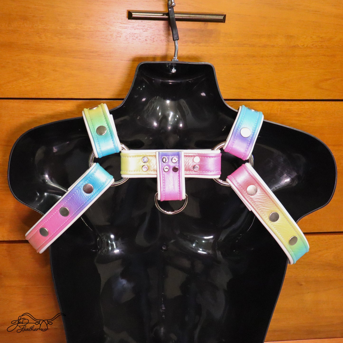 Rainbow Pride Harness - Jon B Leather