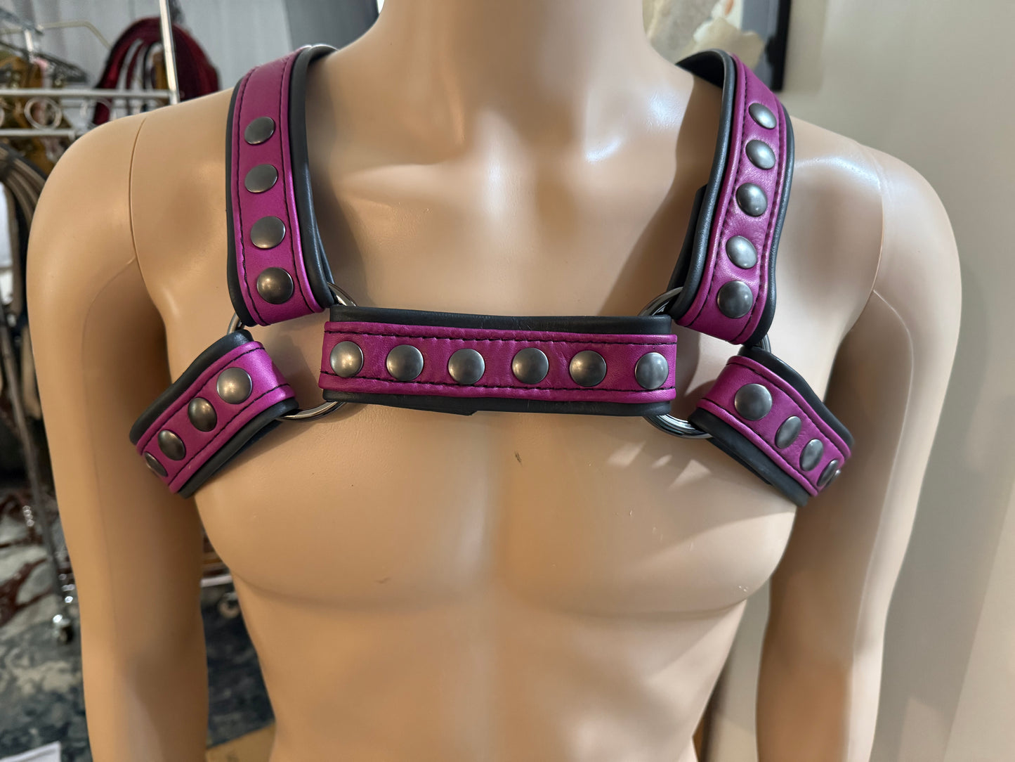 JonBx Snap Harness – Custom Color Request