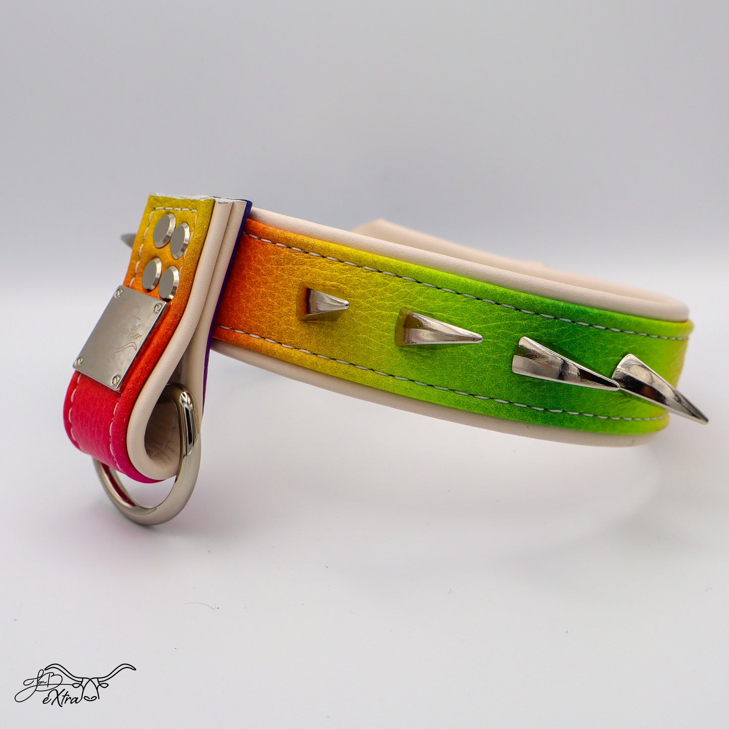 JonBx Fashion Collar - Jon B Leather