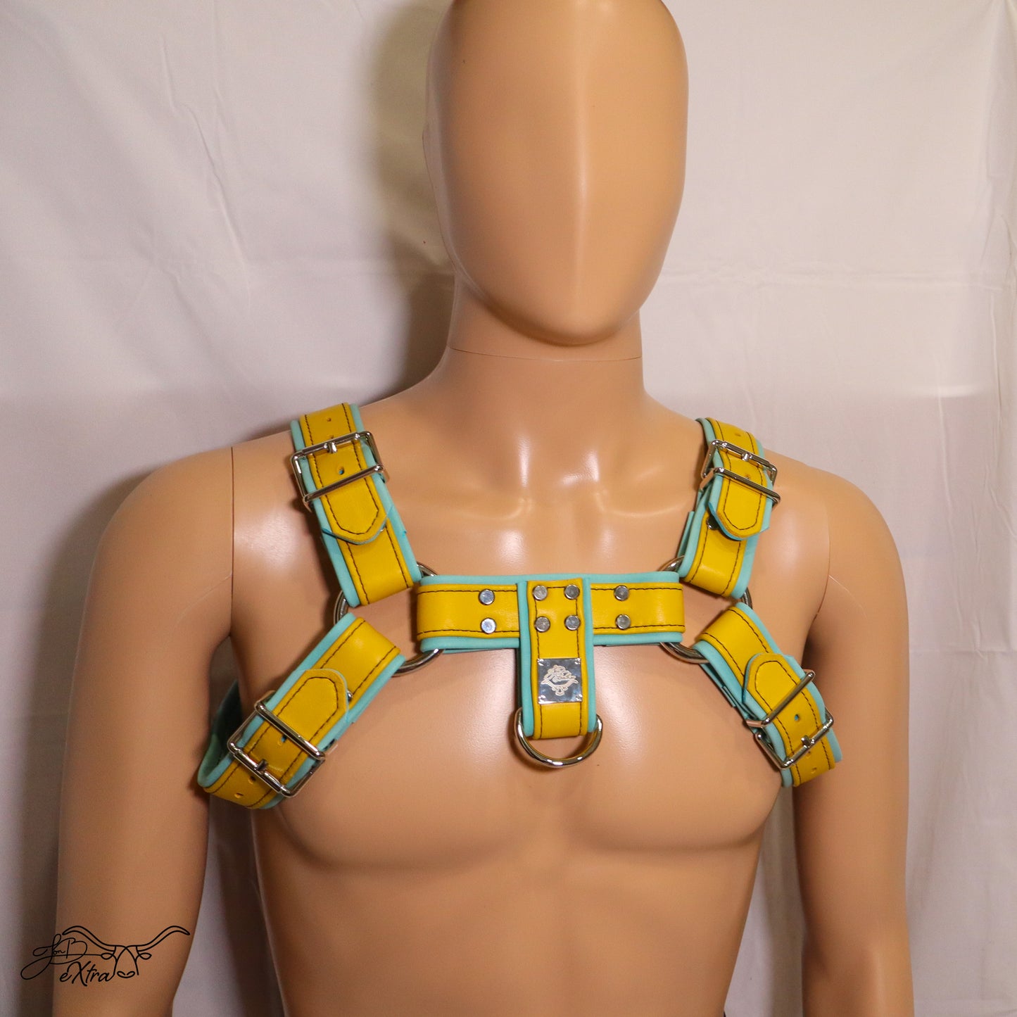 JonBx Cyan and Yellow Fashion Harness