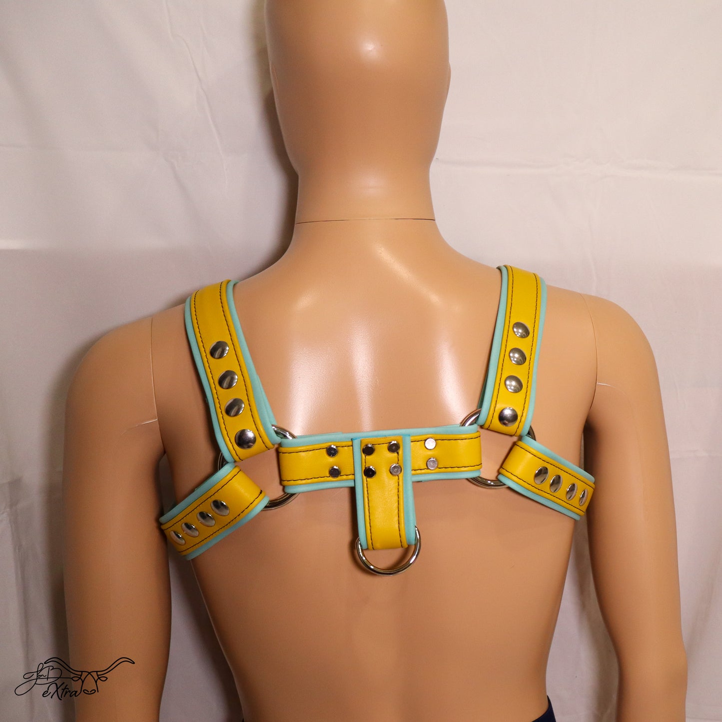 JonBx Cyan and Yellow Fashion Harness