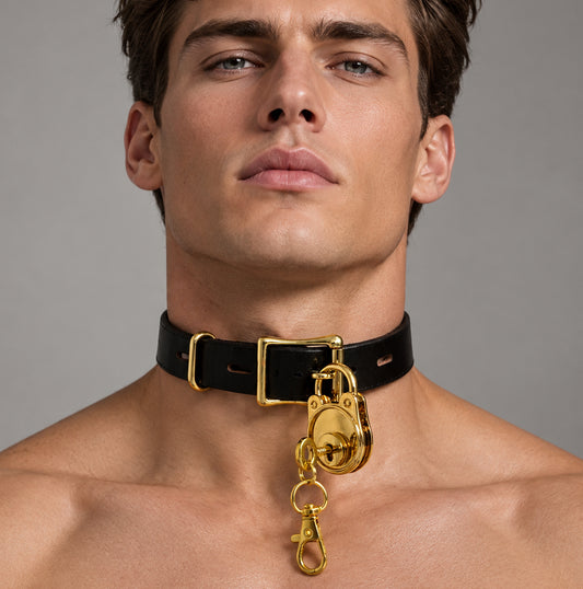 Full Grain Leather Locking Collar