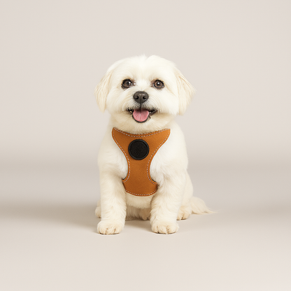 Sport Pet Harness - Best for Smaller Dogs
