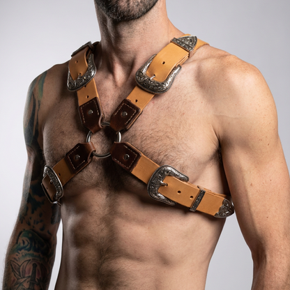 Best In Show Harness