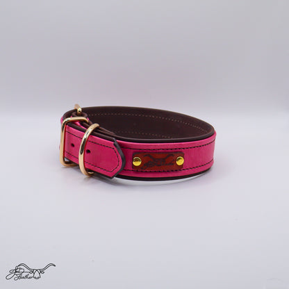 Premium Pet Collar - Jon B Leather