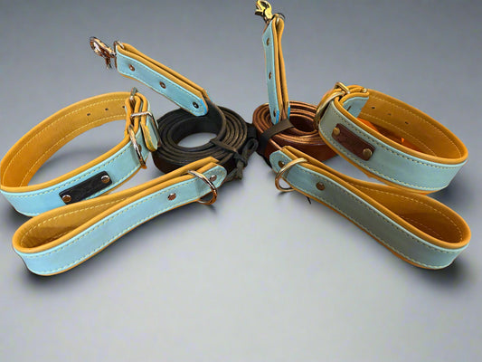Premium Leash - Full Leather Lead