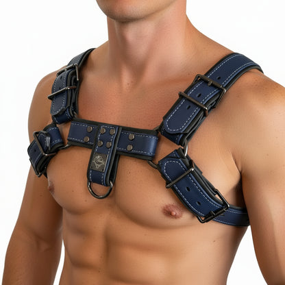 Custom Bulldog Style Harness