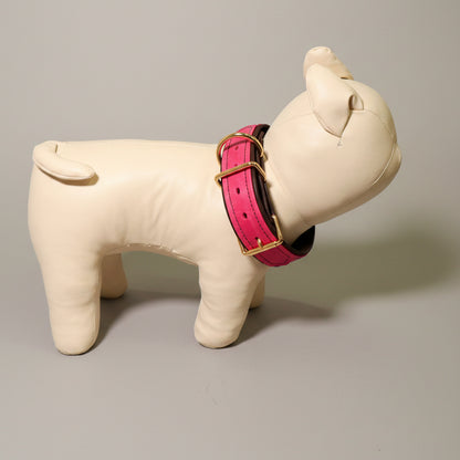 Premium Pet Collar Jon B Leather