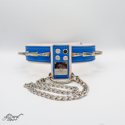 JonBx Fashion Collar - Jon B Leather