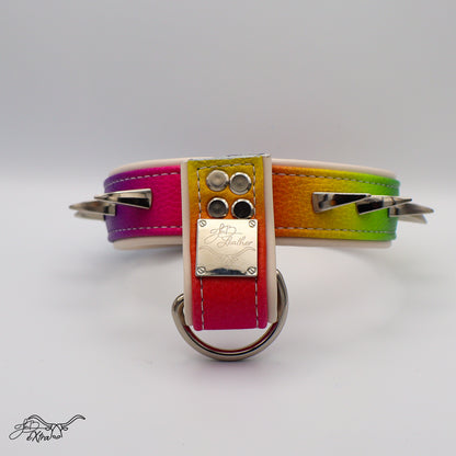 JonBx Fashion Collar - Jon B Leather