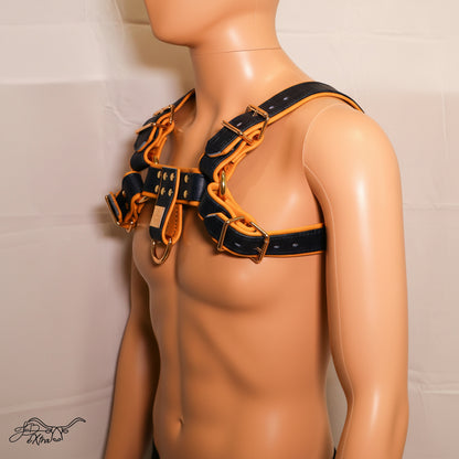 JonBx Navy Alligator and Tan Fashion Harness