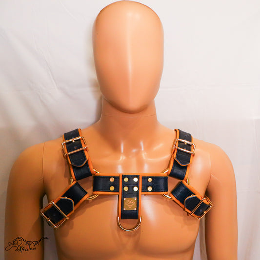 JonBx Navy Alligator and Tan Fashion Harness