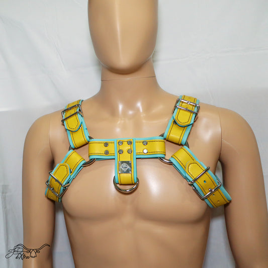JonBx Cyan and Yellow Fashion Harness