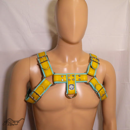 JonBx Cyan and Yellow Fashion Harness