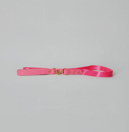 Lux Leash