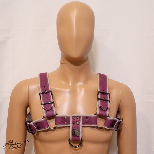JonBx Purple and Gray Fashion Harness