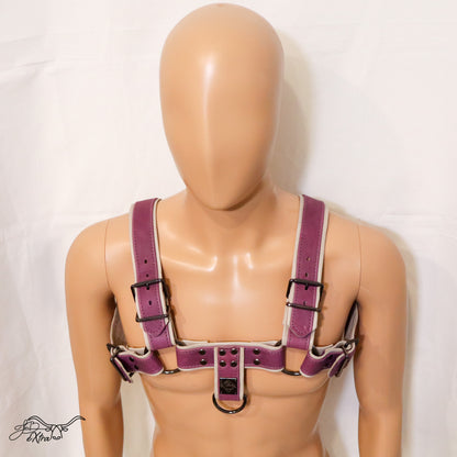 JonBx Purple and Gray Fashion Harness