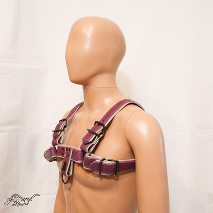 JonBx Purple and Gray Fashion Harness