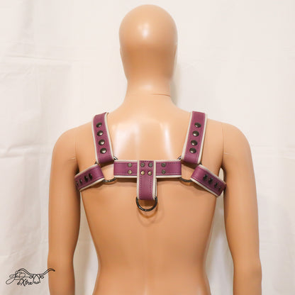 JonBx Purple and Gray Fashion Harness