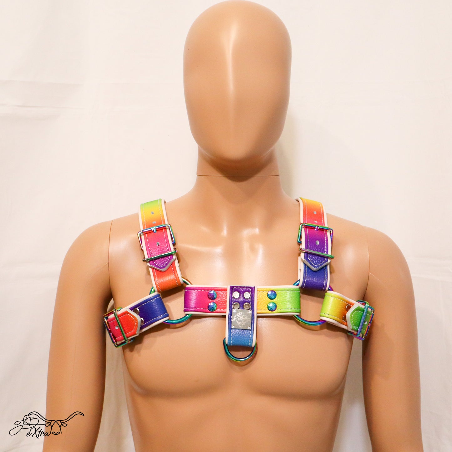 Electric Rainbow Pride Harness