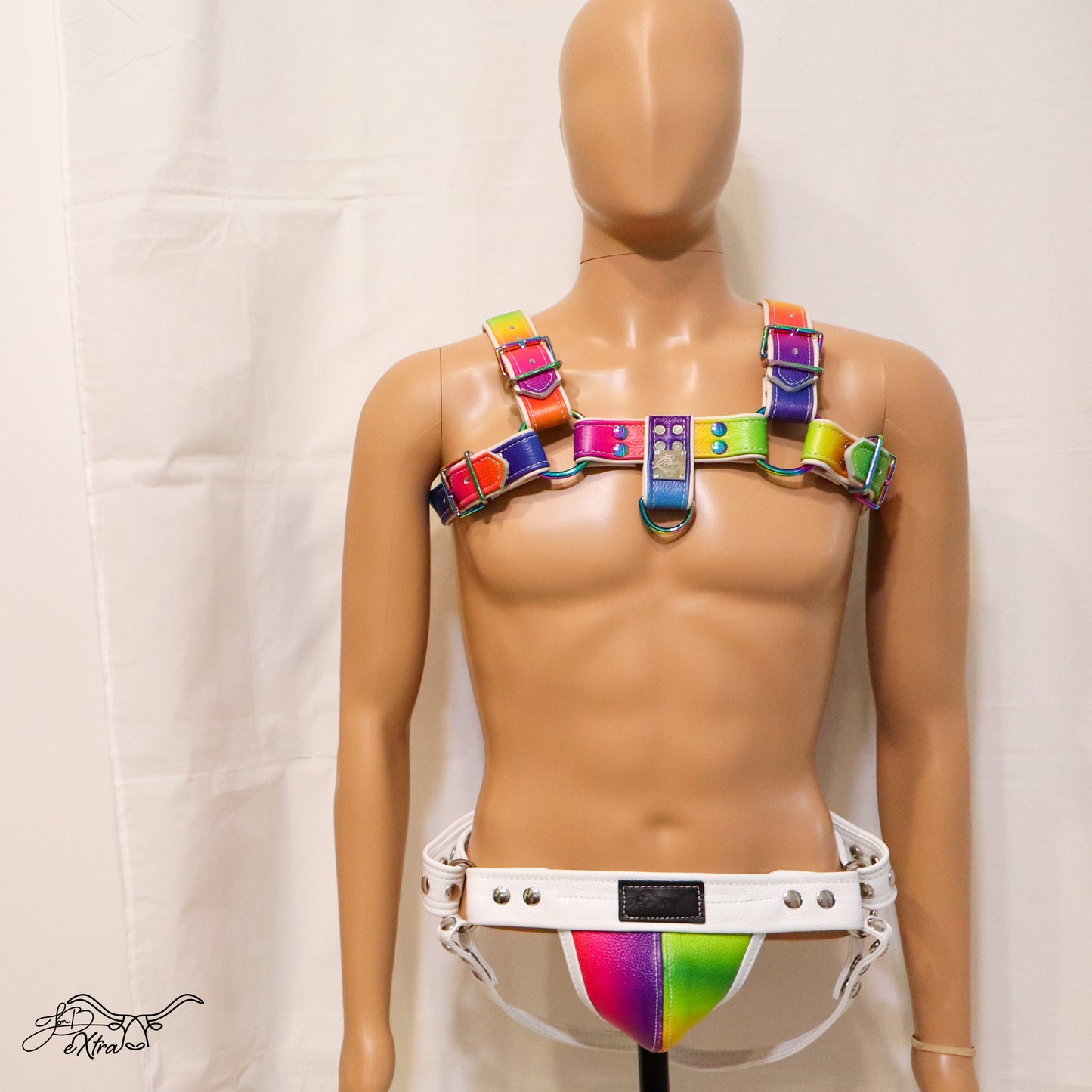 Electric Rainbow Pride Harness