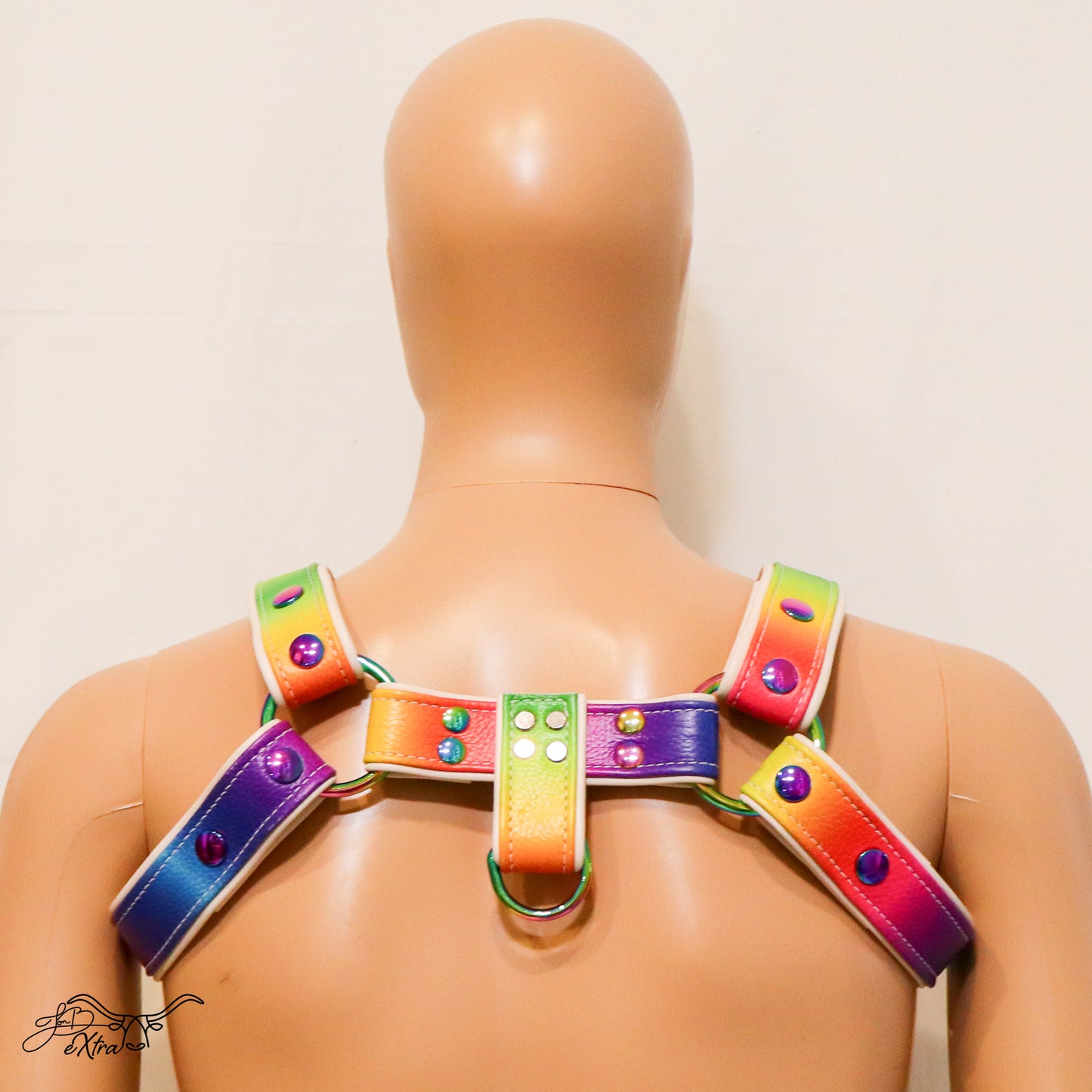 Electric Rainbow Pride Harness