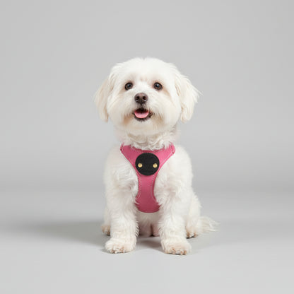 Sport Pet Harness - Best for Smaller Dogs