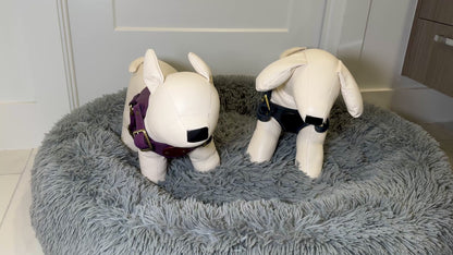 Premium Leather Pet Harness Jon B Leather